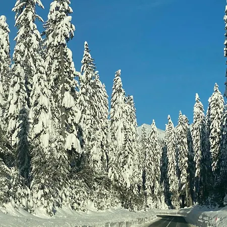 Apartma Jure Apartment