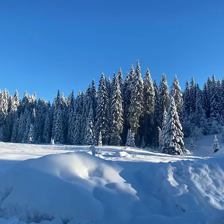 Apartma Jure アパート ゴレンスカ地方