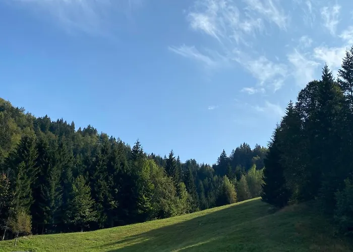 Apartma Jure ゴレンスカ地方