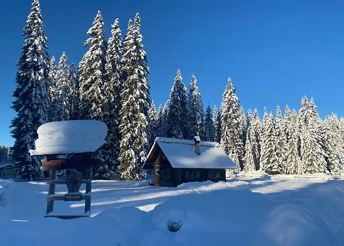 Apartma Jure アパート