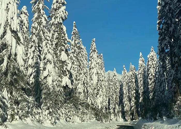 Apartma Jure アパート