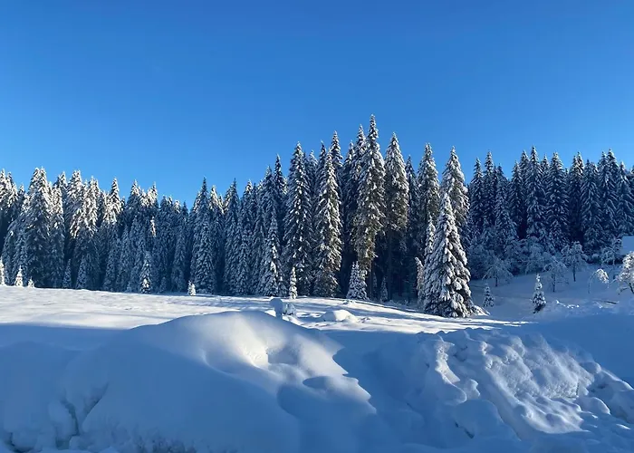 Apartma Jure アパート ゴレンスカ地方