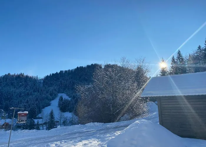 Apartma Jure アパート *